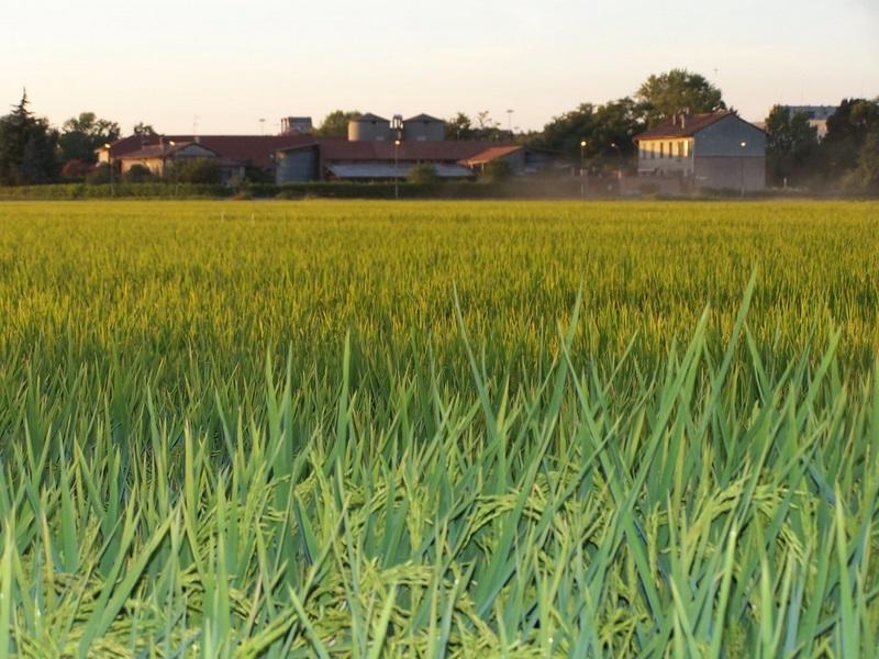 Cascina Battivacco Villa Milano Eksteriør bilde