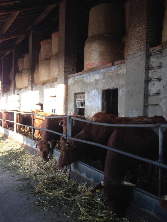 Cascina Battivacco Villa Milano Eksteriør bilde